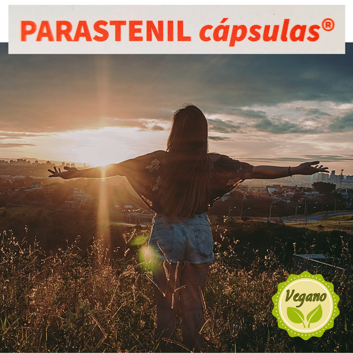 PARASTENIL CAPSULAS COMPLEMENTO ALIMENTICIO TRECE VITAMINAS Y MINERALES COENCIMA Q10 MÁS ENERGÍA Y RENDIMIENTO
COMPRA ONLINE EN https://parafarmaciashop.com/