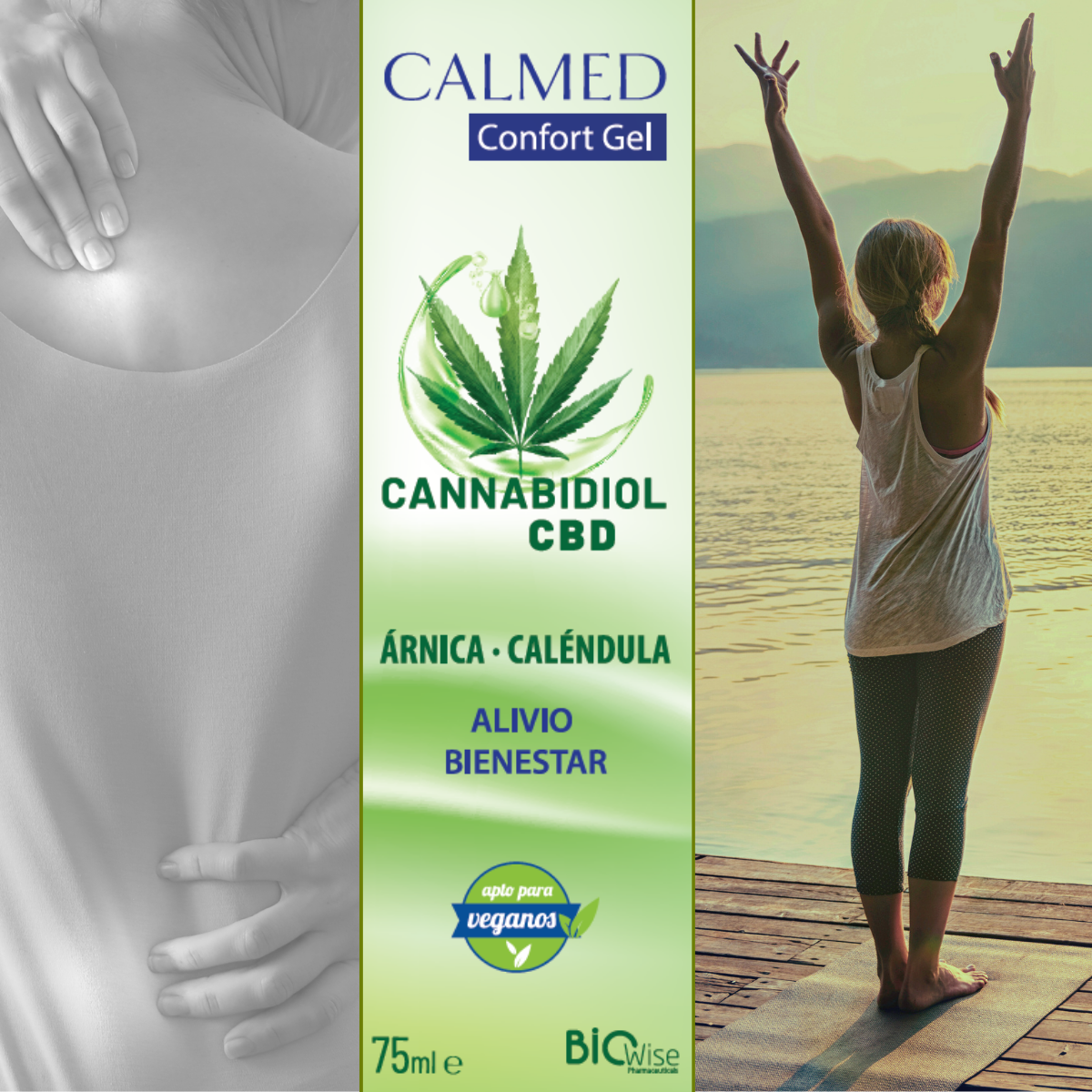 GEL CON ÁRNICA CALÉNDULA Y CANNABIDIOL LABORATORIOS BIOWISE  ALIVIO Y BIENESTAR  
COMPRA ONLINE EN 
https://parafarmaciashop.com/