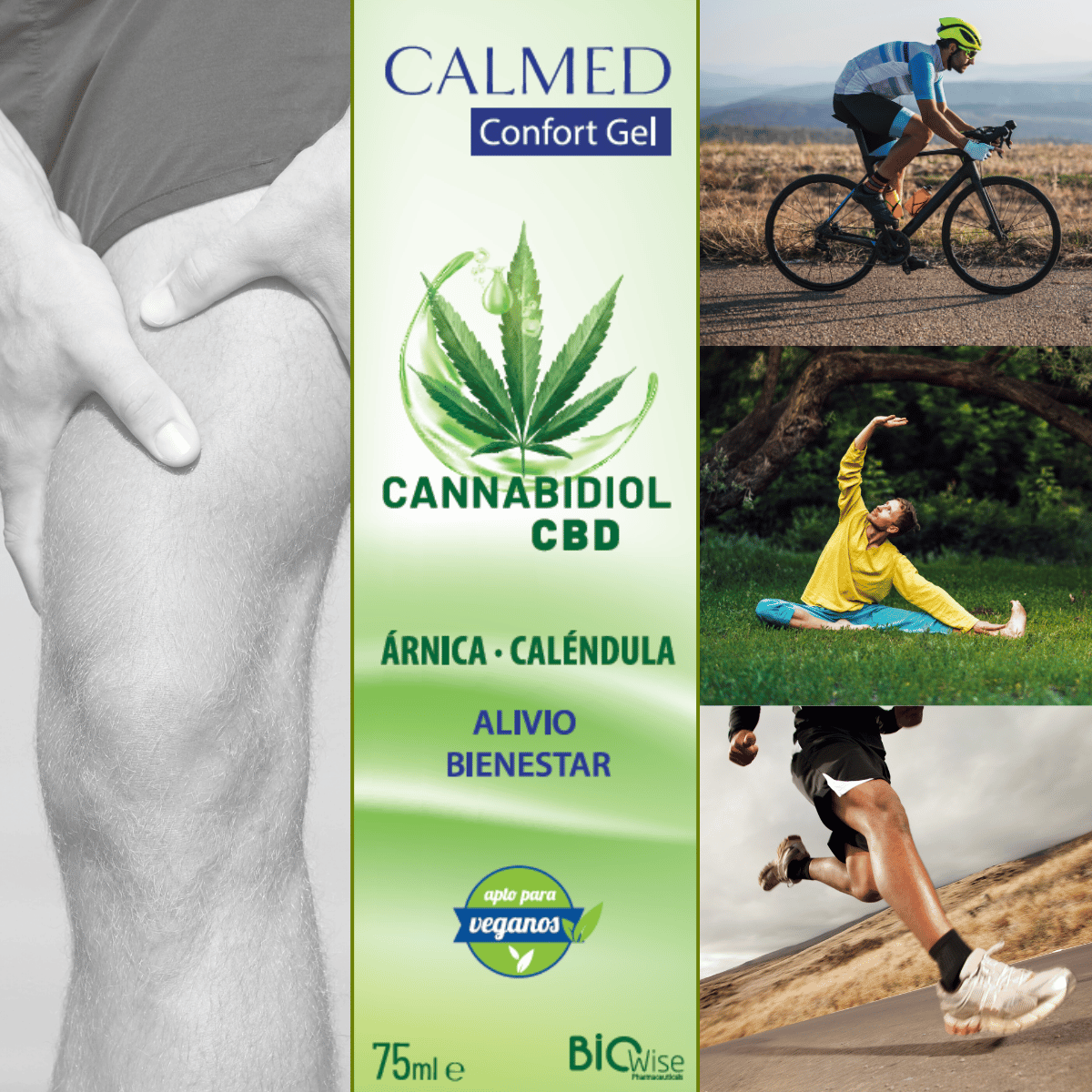 GEL CON ÁRNICA CALÉNDULA Y CANNABIDIOL LABORATORIOS BIOWISE  ALIVIO Y BIENESTAR  
COMPRA ONLINE EN 
https://parafarmaciashop.com/