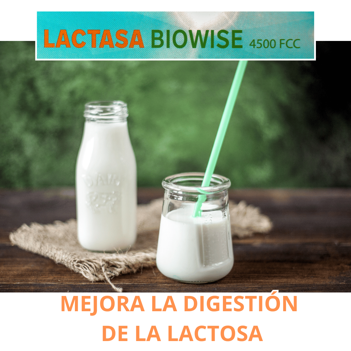 LACTASA COMPLEMENTO ALIMENTICIO AYUDA FACILITA LA DIGESTION DE LA LACTOSA
 COMPRA ONLINE EN https://parafarmaciashop.com/