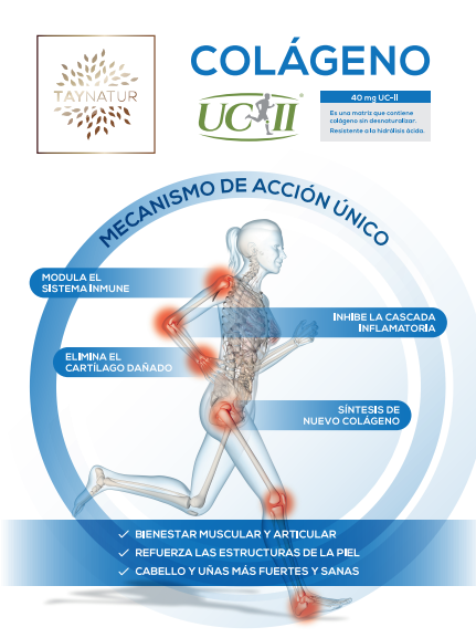 LABORATORIO TAYNATUR COMPLEMENTO ALIMENTICIO COLÁGENO UC-II 30 CÁPSULAS COMPRA ONLINE EN https://parafarmaciashop.com